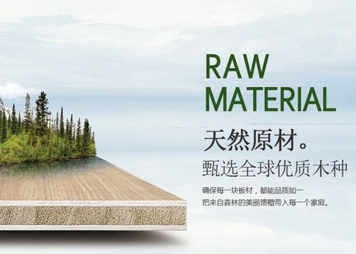 環保創新雙驅動，天山板材書寫發展輝煌新篇